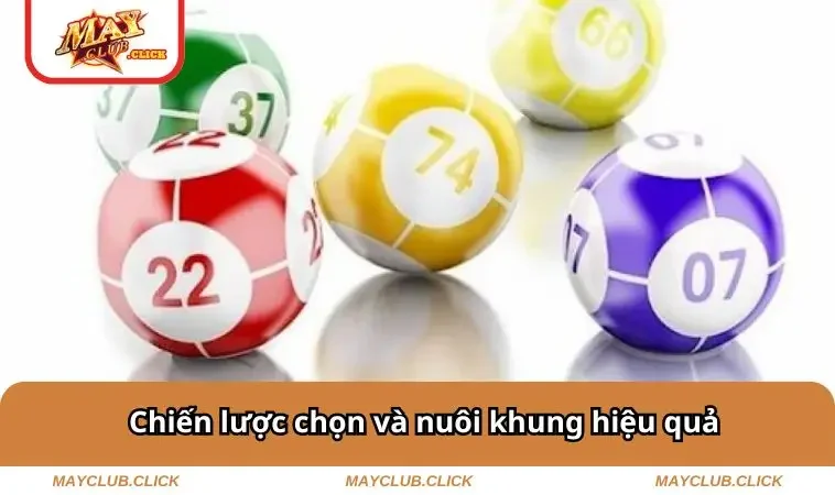 Chiến lược chọn và nuôi khung hiệu quả