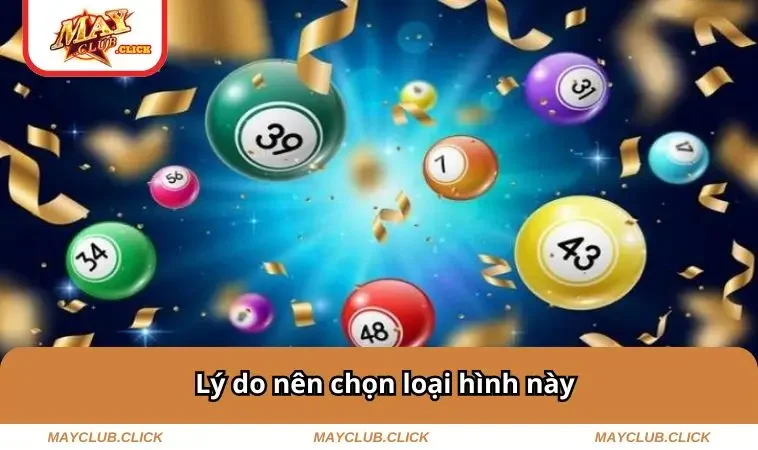 Lý do nên chọn loại hình này