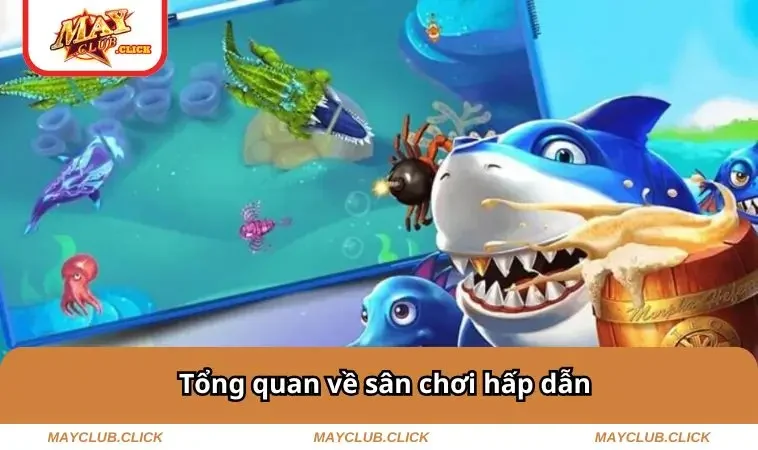 Tổng quan về sân chơi hấp dẫn